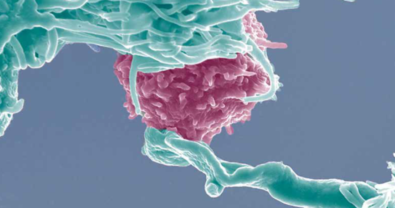 Snímka obrazovky 2026-03-12 104312