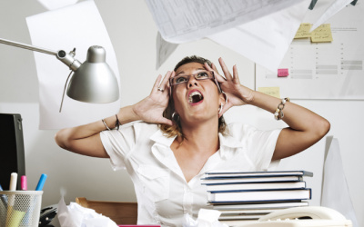 Centrálna správa referenčných údajov (CSRÚ) - praktické uplatnenie princípu "Jeden krát a dosť".