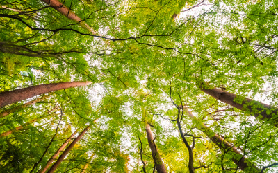 ITAPA Digital Talk: Zelené dáta - ako urýchliť ich sprístupňovanie ľuďom