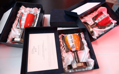 Víťazi Ceny ITAPA 2015