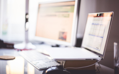  Estónsko - rozlohou malá, elektronickou verejnou administratívou veľká krajina