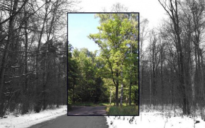 Nabúrané auto privolá pomoc samo