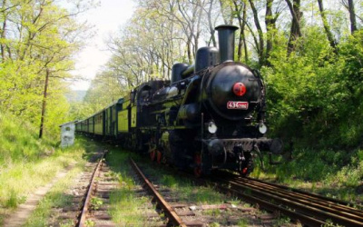 Elektronická anonymná aukcia